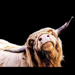 Meet your Posher, Judith